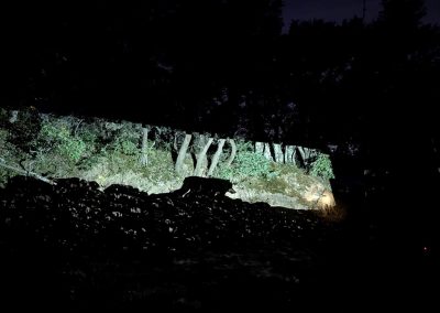 Wolf tijdens avondwandeling op Domaine de la Bouvaude