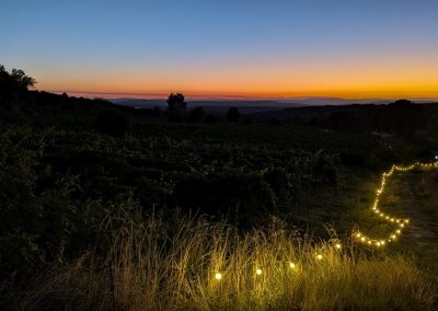 Zonsondergang op Domaine de la Bouvaude