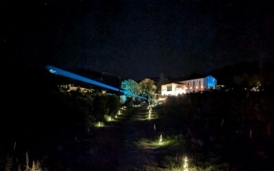 Sprookjesachtige avondwandeling wijndomein Domaine de la Bouvaude