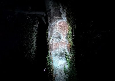 Entre Vignes et lumières, pratende boom